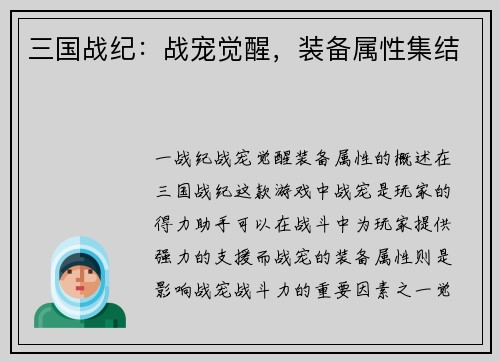 三国战纪：战宠觉醒，装备属性集结